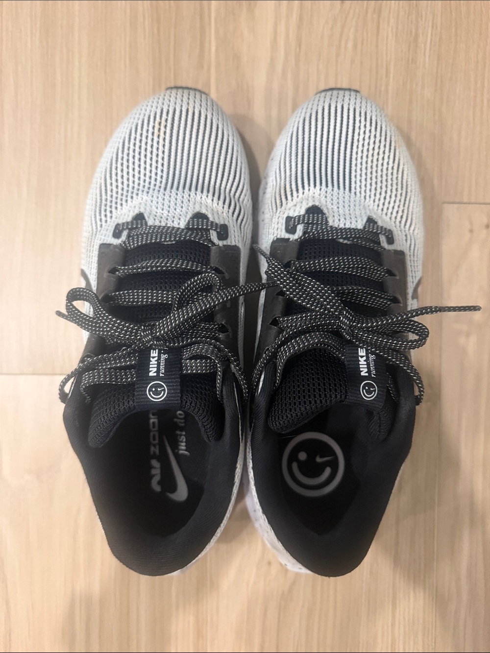 Nike Peagasus Shoes